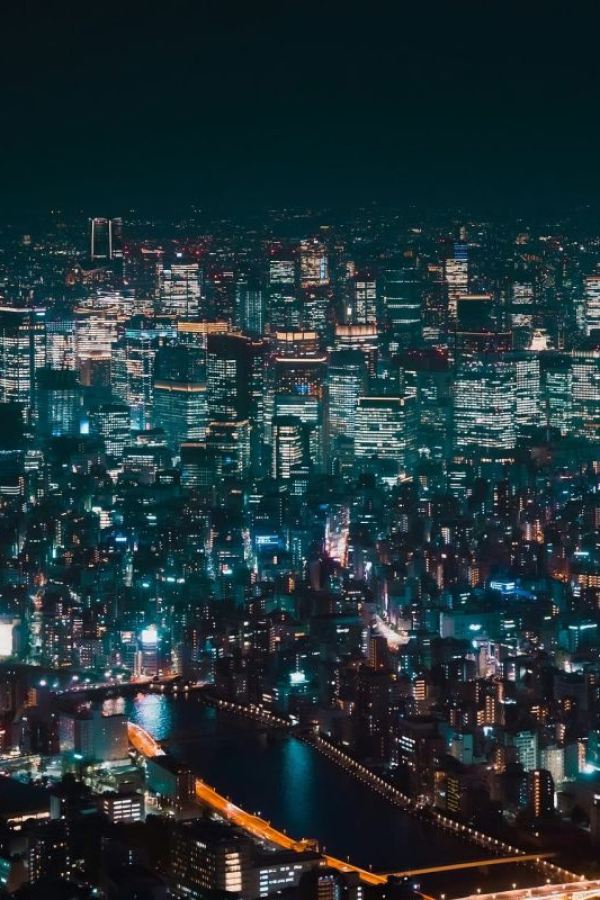 吸血鬼生活 第二季